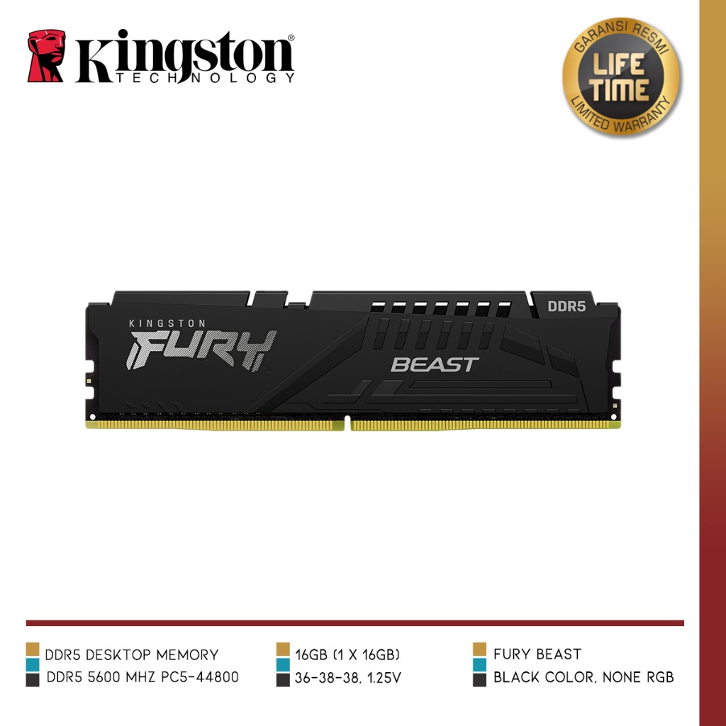 Kingston KF556C36BBE-16 - Image 7