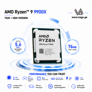 AMD Ryzen 9 9900X